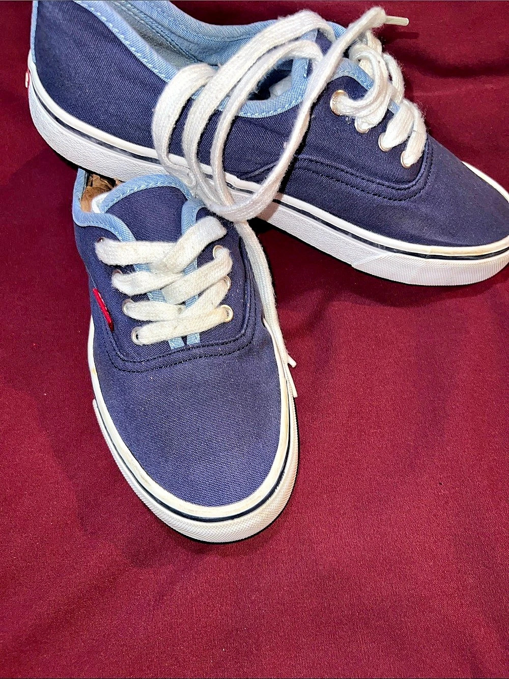 Levi's Blue Canvas Sneakers